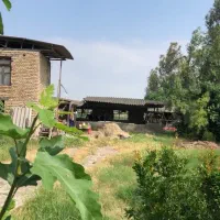 رهن-و-اجاره-دامداری