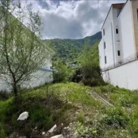 زمین-پلاک-جنگل-میخای-بیا-ببرمت-از-نزدیک-ببین