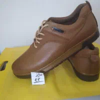 کفش|کیف، کفش، کمربند|فسا, |دیوار