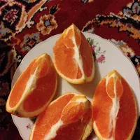 پرتغال تامسون تو سرخ کاراکارا