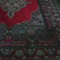 فرش ۱۲متری کاملاً سالم|فرش|شیراز, سعدیه شمالی|دیوار