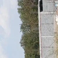 یک باب حیاط ویلایی نیمه کاره|فروش خانه و ویلا|عجب شیر, |دیوار