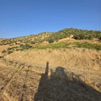 فروش باغ جاده گماره لنگ دارای آب رودخانه