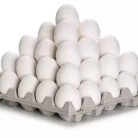تخم مرغ روز به قیمت (عمده) اردبیل