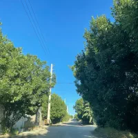 باغشهری خان خمیس ( تاج محل)