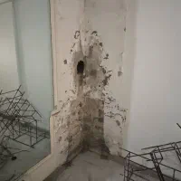 گچکاری وخورده کاری|خدمات پیشه و مهارت|تهران, کرمان|دیوار