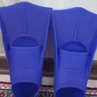 شنا فین شنا