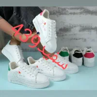 کفش|کیف، کفش، کمربند|خرمدره, |دیوار