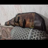 کرال قوی