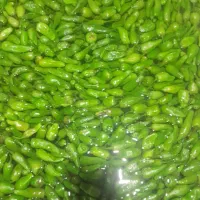 تولید وپخش ترشیجات و شوریجات|خوردنی و آشامیدنی|تهران, بریانک|دیوار
