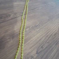 تسبیح شاه مقصود