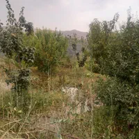 فروش باغ با۶۵۰مترودارای برق ودیوارکشی شده|فروش دفتر صنعتی، کشاورزی، تجاری|فولادشهر, A6|دیوار