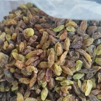 کشمش آبگیری ارزان ارسال به همه کشور