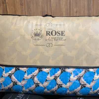 تشک میهمان کرون