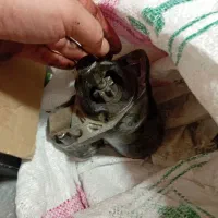 استارت لاستیک پمپ بنزین سیم پیچی پراید|قطعات یدکی و لوازم جانبی|تهران, شهرک فردوس (حسینی)|دیوار