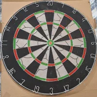 دارت مدل Flocked Dartboard