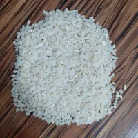 خرید وفروش انواع برنج و نیمدانه|خوردنی و آشامیدنی|رشت, پسیخان|دیوار