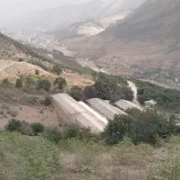 استخدام کارگر مرغداری