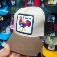 گورین اصل|لباس|بندرعباس, |دیوار