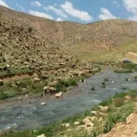 زمین ویلا باغی لوکس در بهش ایران|فروش زمین و ملک کلنگی|شیراز, سینما سعدی|دیوار