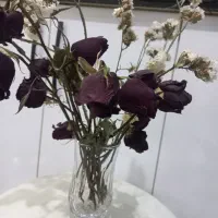 گل خشک کاررزین