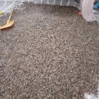 تخمه اس 400درجه یک