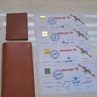 کیف پول و جا کارتی نوین چرم|کیف، کفش، کمربند|تهران, کوثر|دیوار