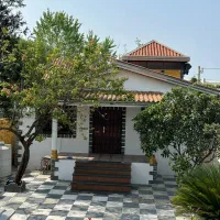 باغچه-ویلا-نقلی-با-شاه-نشین-235متری-مبله