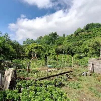 فروش-تیکه-ای-از-بهشت-400-متری