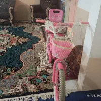 فروشی|دوچرخه، اسکیت، اسکوتر|شیراز, رکن‌آباد|دیوار