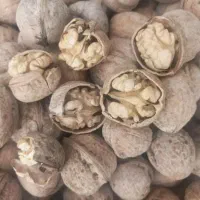 گردو پوست کاغذی تویسرکان ،بادام،مغز گردو،درجه ۱|خوردنی و آشامیدنی|شیراز, باغ تخت|دیوار