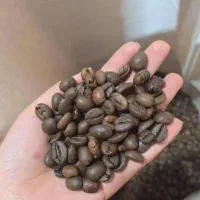 انواع تک دان و میکس های قهوه