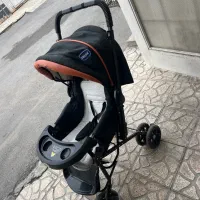 کالسکه دلیجان