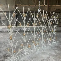 تولیدی شاخگوزنی