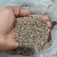 سنجد.تخمه.کشمش.گردو کاغذی. قاوورقا|عمدهفروشی|قره ضیاالدین, |دیوار