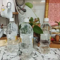 گلاب دوآتیشه