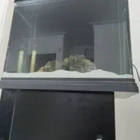 اکواریم ماهیران با پایه