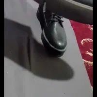 کفش|کیف، کفش، کمربند|ارومیه, |دیوار