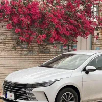 بی وای دی دیسترویر 2025 بود برقی بنرینی