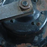 طوطی برزیلی|پرنده|ایذه, |دیوار