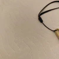 فلش پیدا کردم محدوده پونک