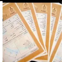 خدمات تخصصی سند