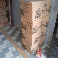 به یک نفر راننده جوان نیازمندیم