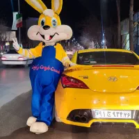 عروسک تن پوش|خدمات پذیرایی، مراسم|بجنورد, |دیوار