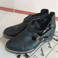 کفش|کیف، کفش، کمربند|سنقر, |دیوار