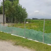 فروش زمین کشاورزی و مسکونی در فومن