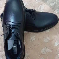 کفش مردانه