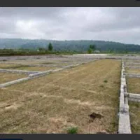 295 متر زمین با کاربری مسکونی