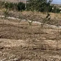 فروش-زمین-کاربری-صنعتی-کردان