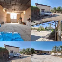 فروش باغ 13هکتاری بارده ۲تاچاه فعال برقی قیرکازرین